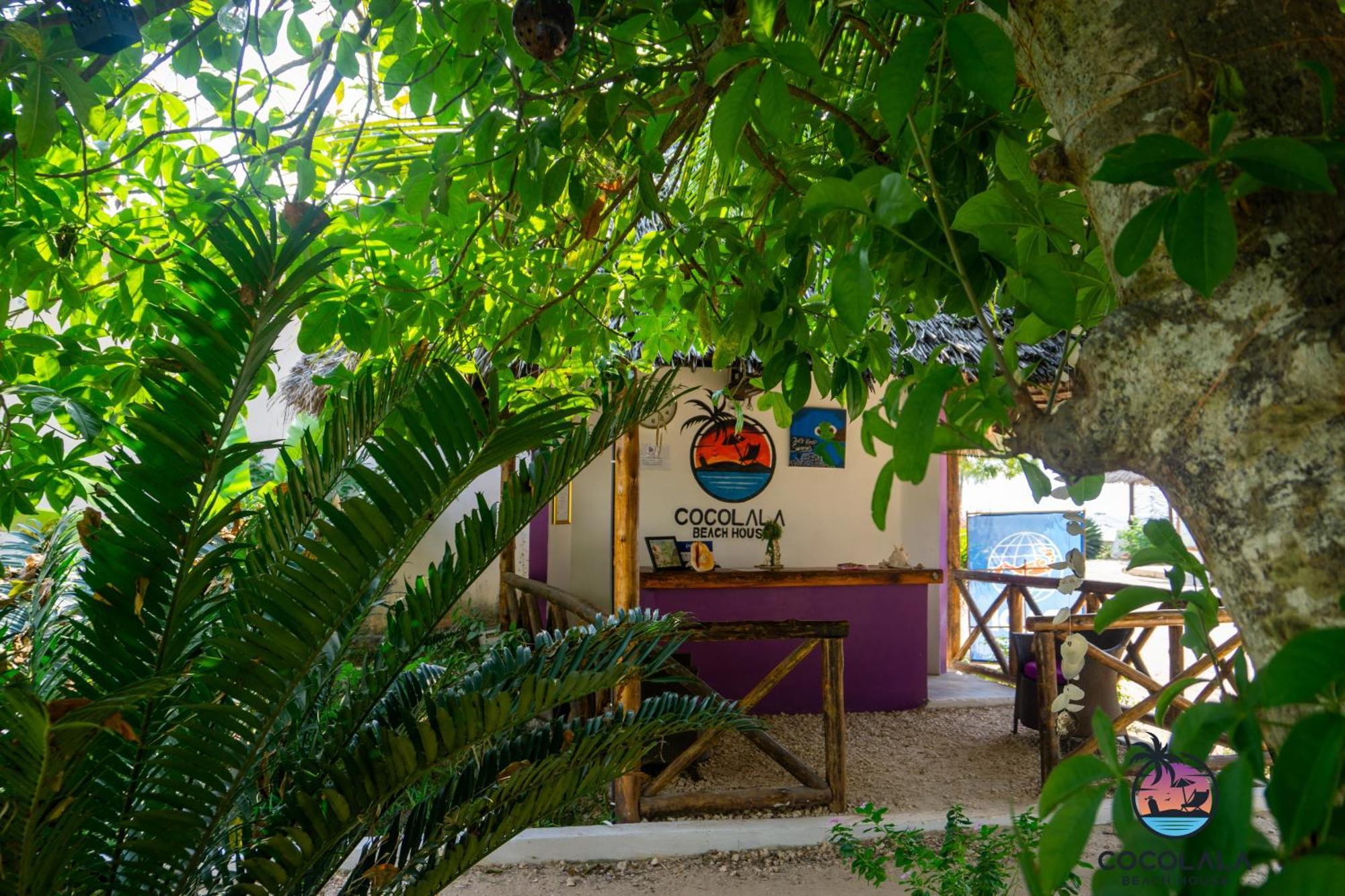Cocolala Beach House Нунгви Екстериор снимка